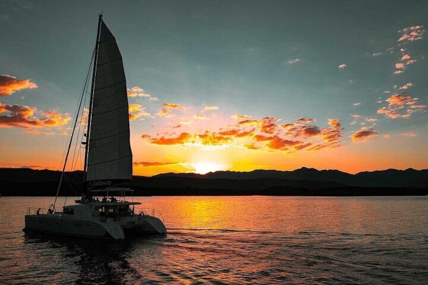 Afternoon Low Isles Snorkeling and Sailing Cruise from Port Douglas