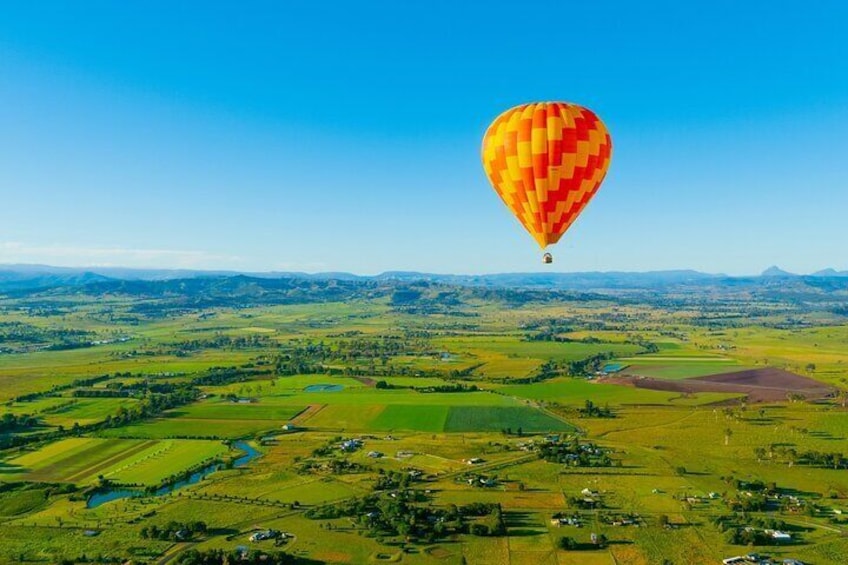 Gold Coast Hot Air Balloon + Winery Breakfast + Return Transfers