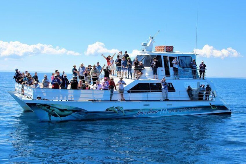Plenty of room for whale watching