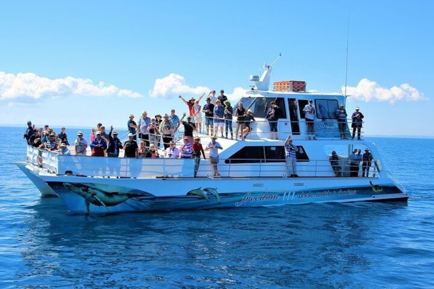 Plenty of room for whale watching