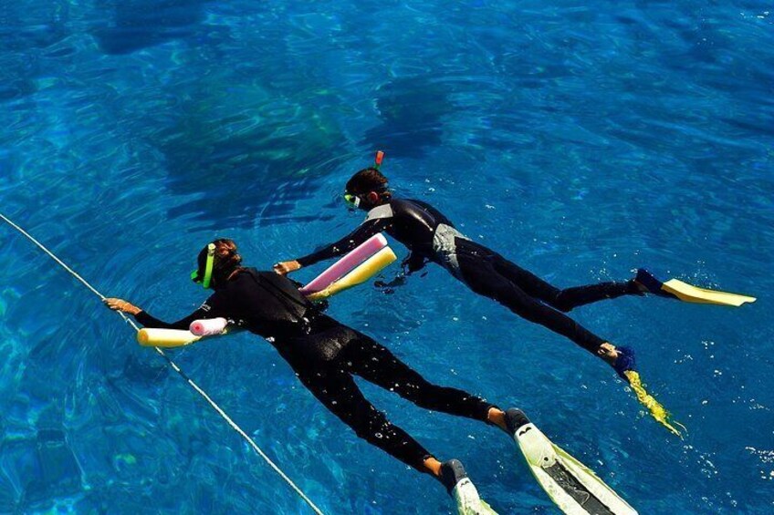 Snorkel the Great Barrier Reef