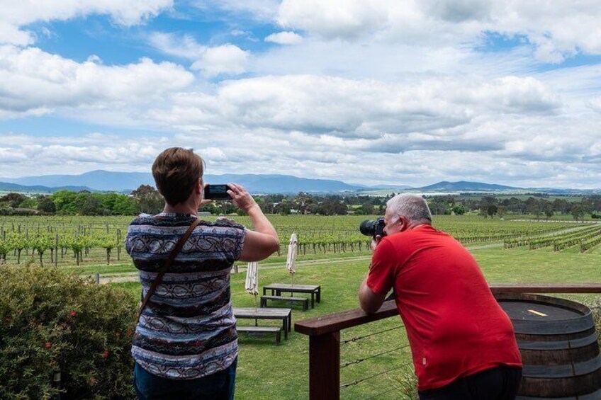 Travelers capture the picture-perfect scenes at Greenstone Vineyard winery, in the Yarra Valley.