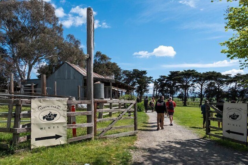 Follow the arrows for wine at Yering Farm winery in Australia's Yarra Valley.