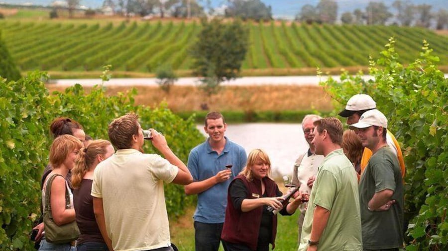 Yarra Valley Wine and Winery Tour from Melbourne