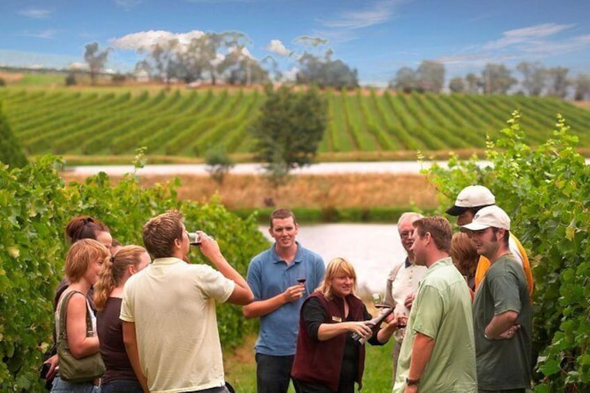 wine tour from melbourne city