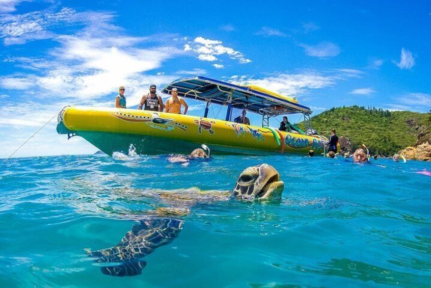 Ocean Rafting snorkelling 