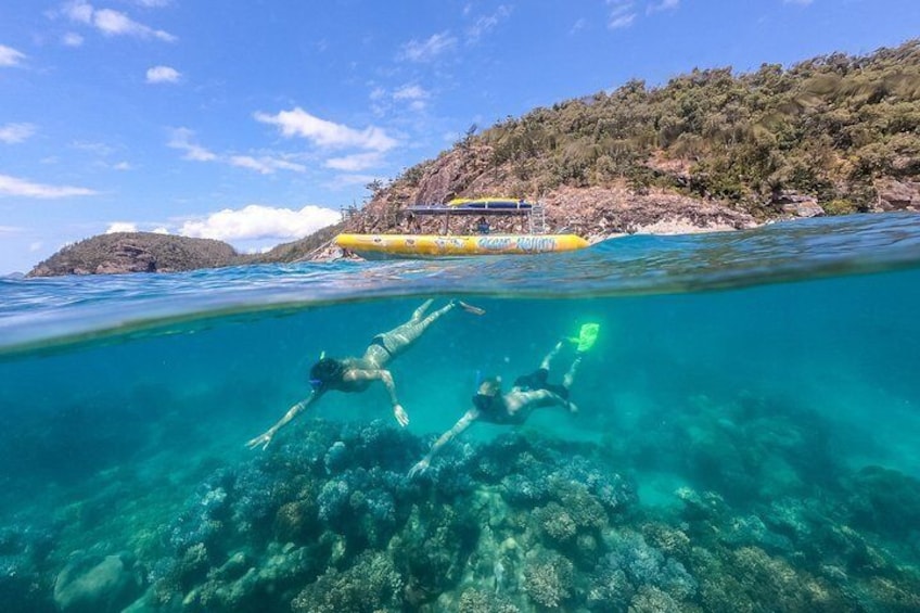Amazing snorkelling sites