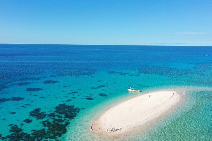 Ocean Safari Great Barrier Reef Experience in Cape Tribulation