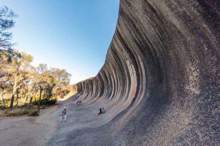 Full-Day Wave Rock & Historic York