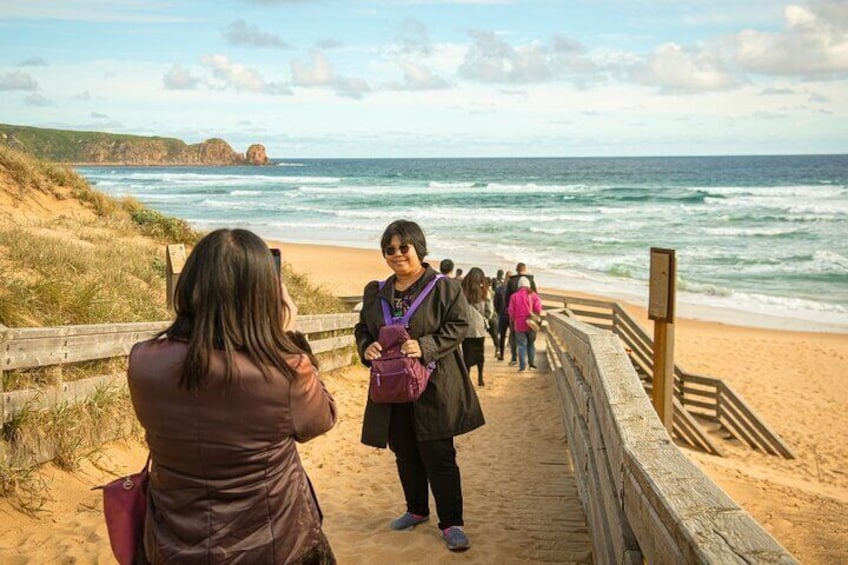 Phillip Island Penguin Parade Express Tour from Melbourne