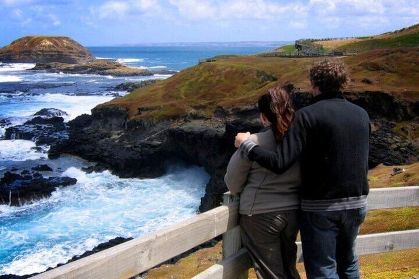 Phillip Island Penguin Parade Express Tour from Melbourne