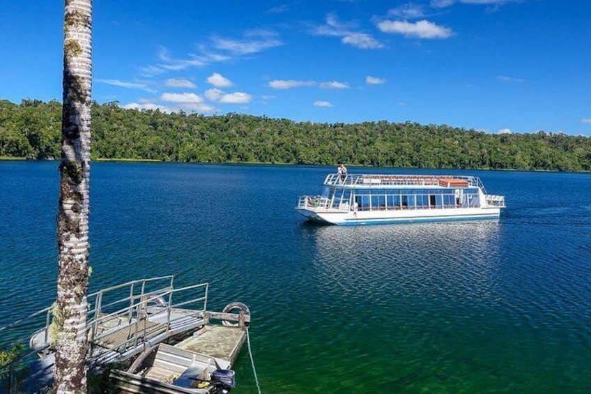 Wildlife Cruise at Lake Barrine, spot Turtles and Birds