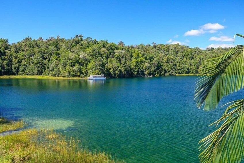 Wildlife Cruise at Lake Barrine