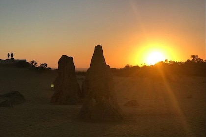 Half Day Pinnacles Sunset Tour