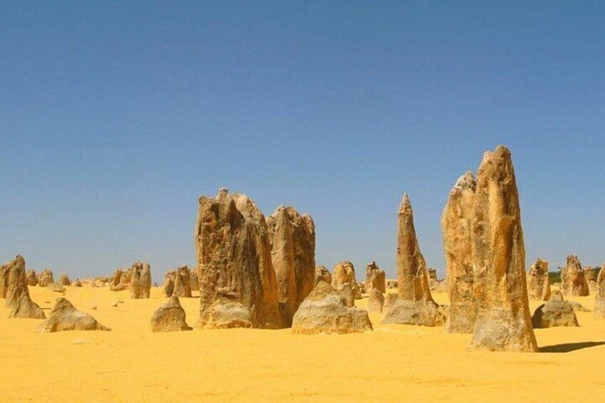 Half Day Pinnacles Sunset Tour