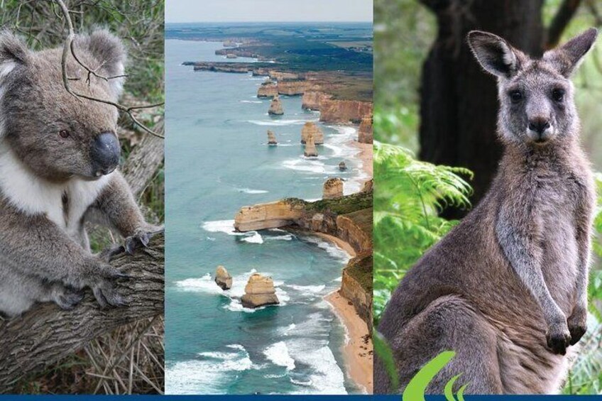 2 Day Great Ocean Road Tour from Melbourne