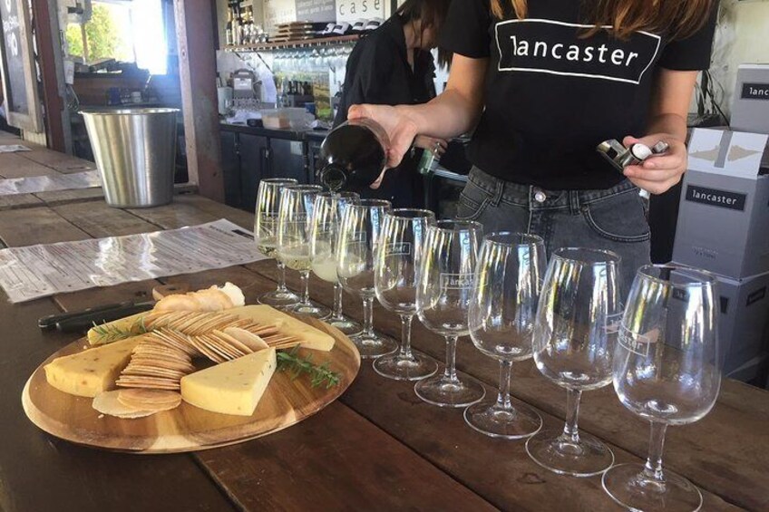 Wine & Cheese - the perfect pair !