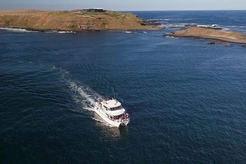 Cruise Phillip Island's scenic coastline