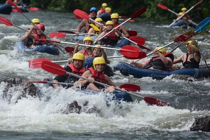 Tully River White Water Rafting Half day- Self Drive