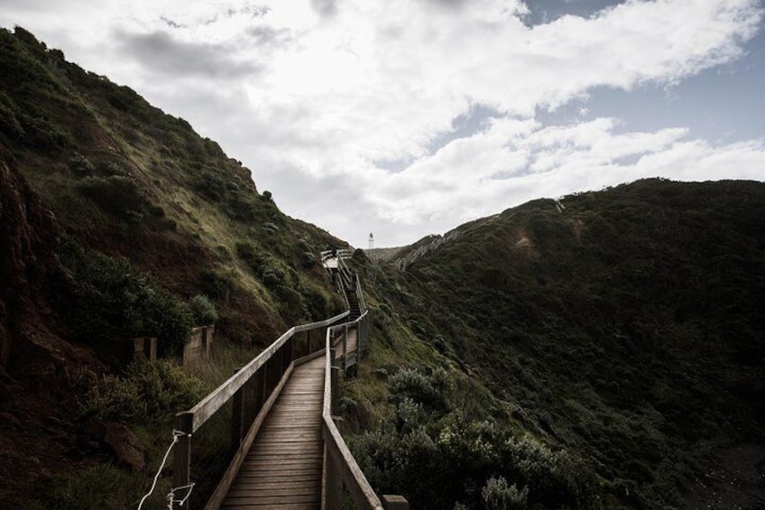 Cape Schanck boardwalk