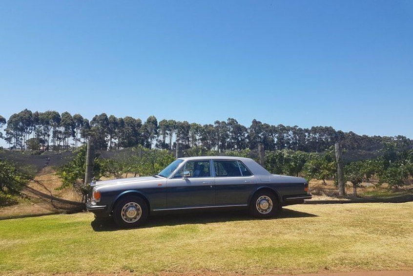 Full Day Winery and Brewery Tour in a Classic Silver Spirit Rolls Royce