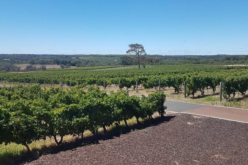 Full Day Winery and Brewery Tour in a Classic Silver Spirit Rolls Royce