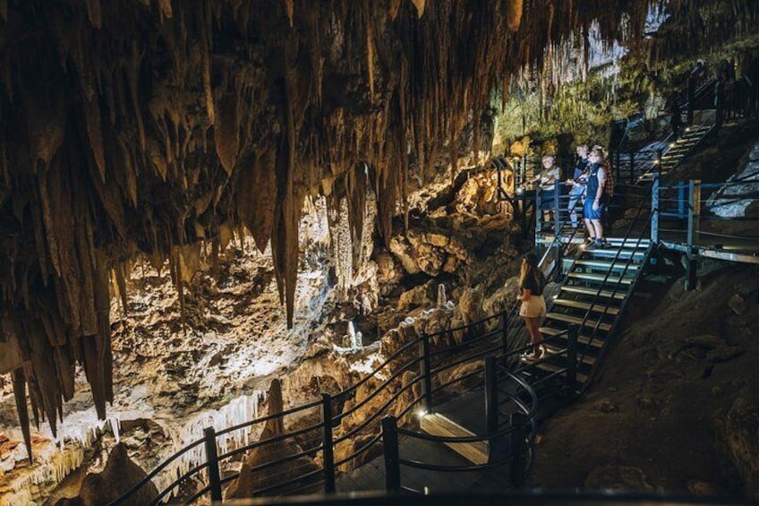 Ngilgi Cave Semi-guided Tour