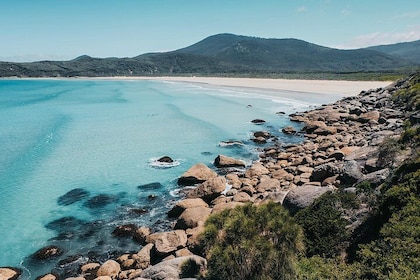 Small Group - Wilsons Promontory Hiking Day Tour from Melbourne
