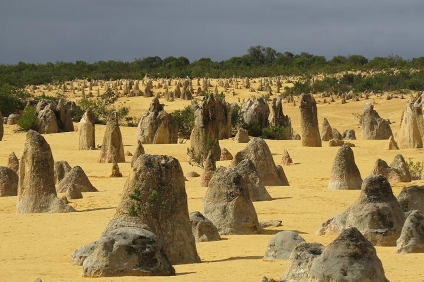 Wave Rock, Pinnacles and Rottnest One Day Aeroplane Tour