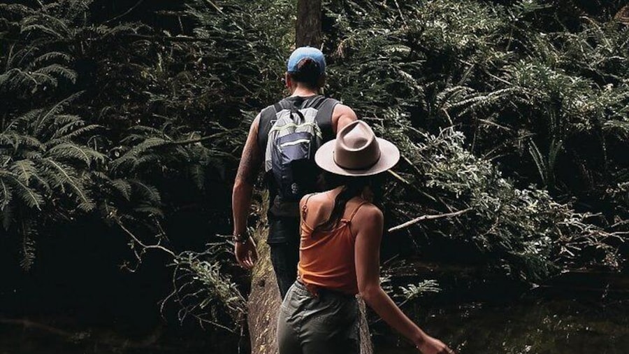 Enjoy the fresh air