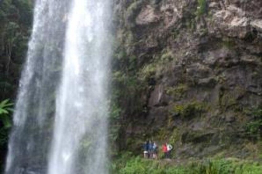Springbrook National Park, Twin Falls