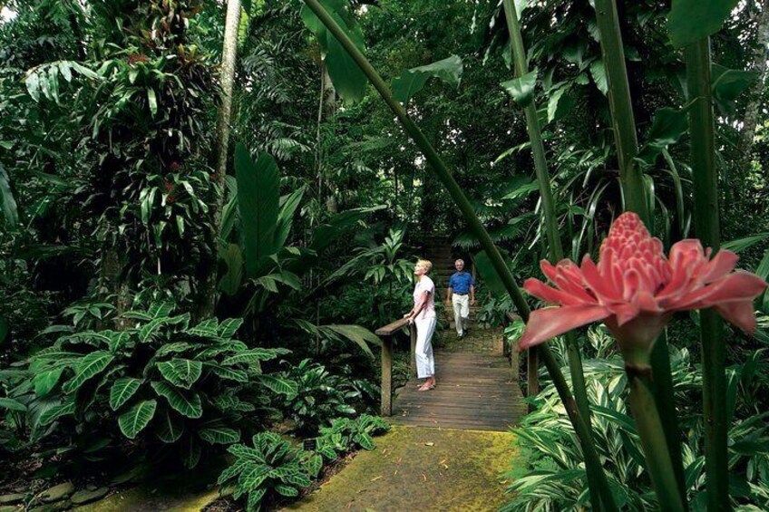Cairns Botanic Gardens