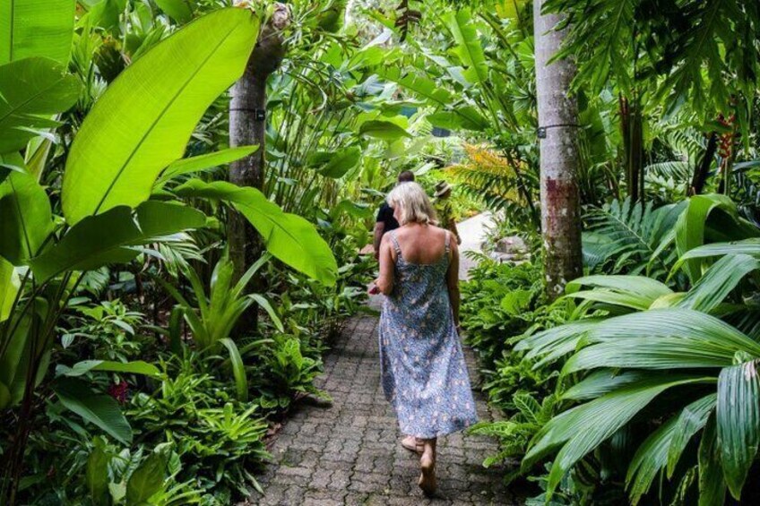 Guided tour of Cairns Botanic Gardens