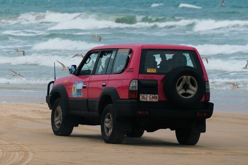 3 Day PINK4WD Tagalong Tour - K'gari/Fraser Island