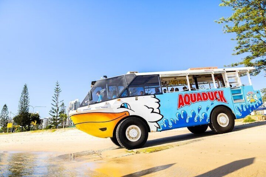 Aquaduck Gold Coast 1 hour City and River Tour