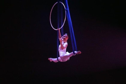 Private Tour: Shanghai Acrobatic Show and Authentic Dim Sum