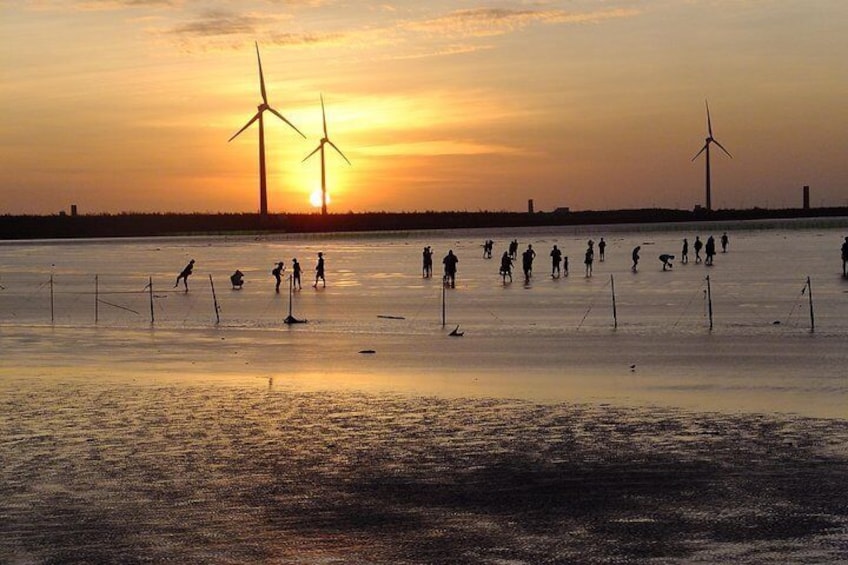 Gaomei Wetland