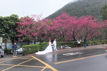 One-day Yangmingshan NP Beitou Hot Spring Park and Tamsui Tour Package