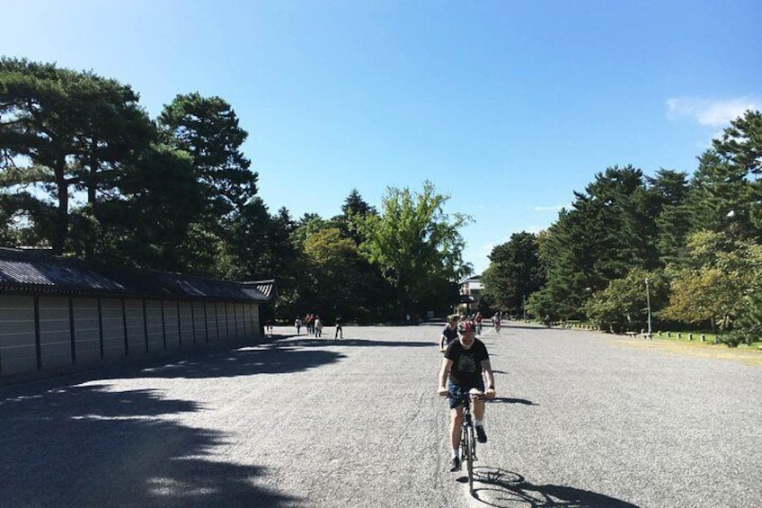 Biking in the Palace