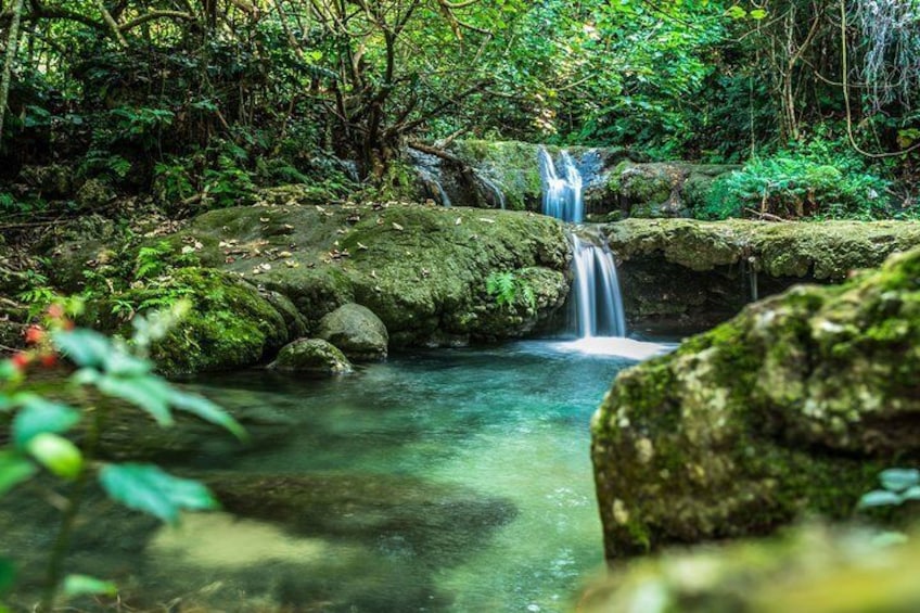 Mele Cascades and Waterfalls 3 Hour Guided Tour