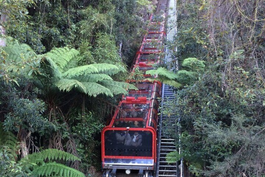 Scenic railway