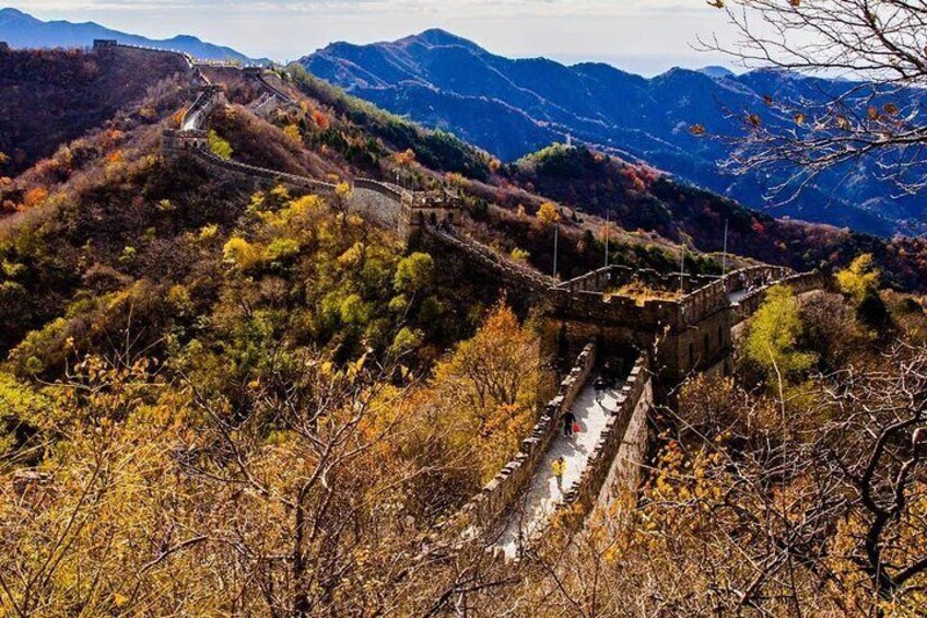 Private Changyu Chateau Wine Tasting Tour and Mutianyu Great Wall Visit