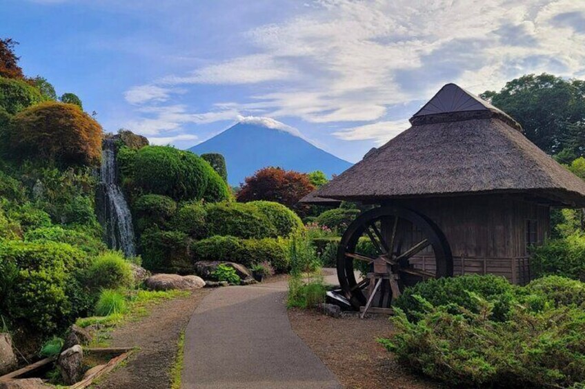 Tokyo: Mt. Fuji, Oshino Hakkai and Gotemba Outlets 1Day Bus Tour