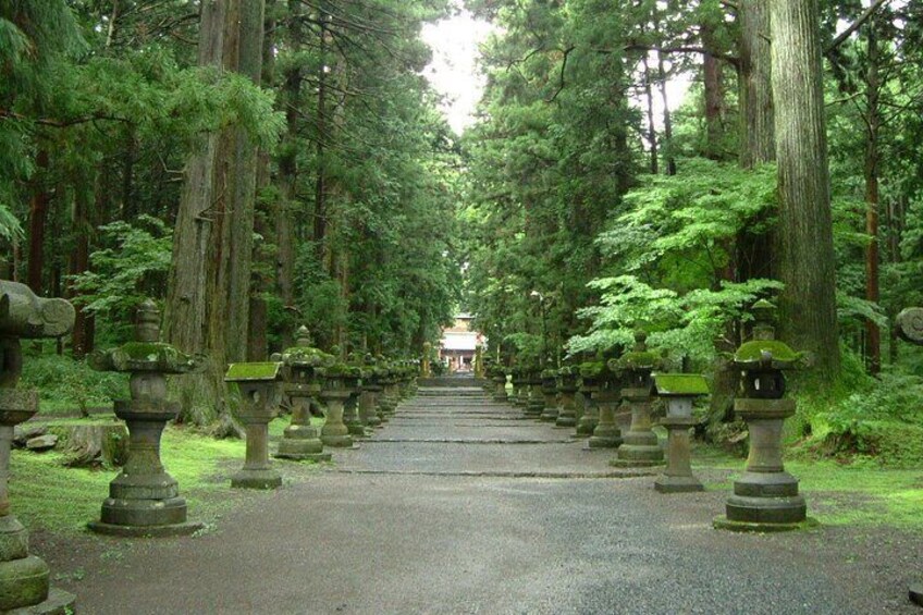 Tokyo: Mt. Fuji 5th Station, Lake kawaguchi and Gotemba Outlets