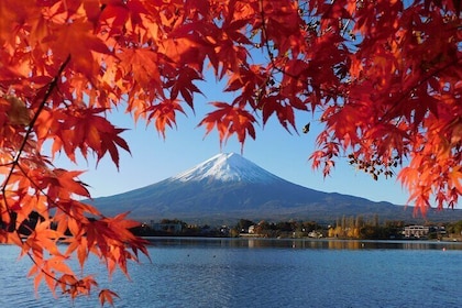 Tokio: tour en autobús de 1 día por el monte Fuji, Oshino Hakkai y Gotemba ...