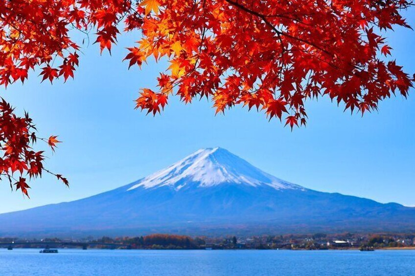 Tokyo: Mt. Fuji 5th Station, Lake kawaguchi and Gotemba Outlets