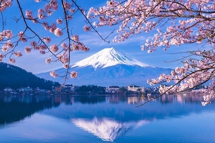 Tokyo: Mt. Fuji, Oshino Hakkai and Gotemba Outlets 1Day Bus Tour