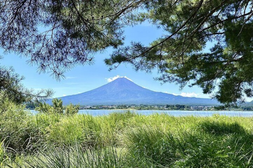 Tokyo: Mt. Fuji, Oshino Hakkai and Gotemba Outlets 1Day Bus Tour