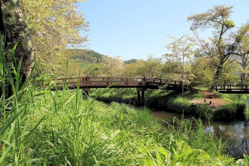 Tokyo: Mt. Fuji, Oshino Hakkai and Gotemba Outlets 1Day Bus Tour