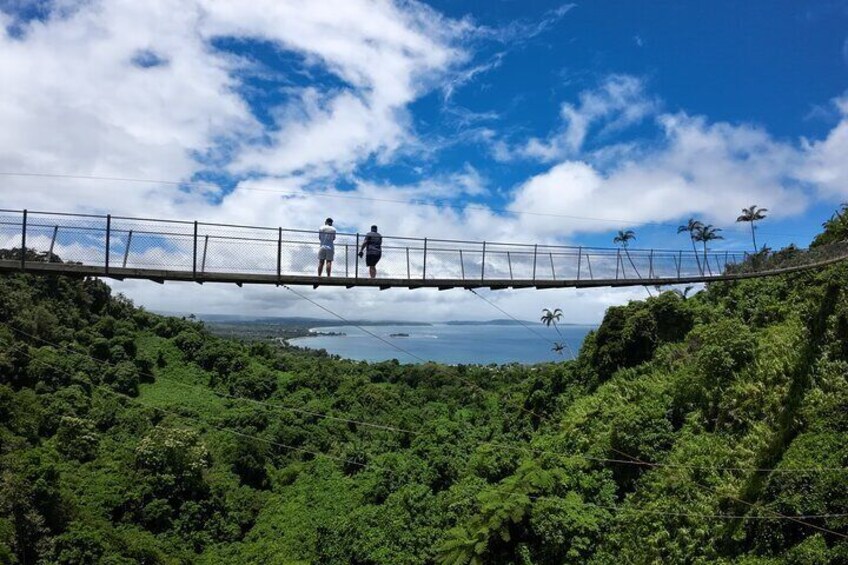 Vanuatu Jungle - The Big Zipline Trek Tour from Port Vila